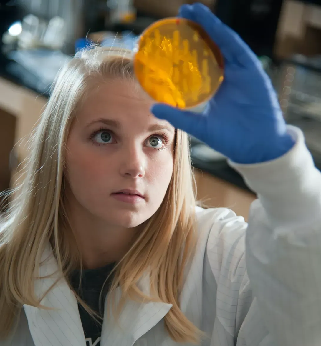 Student holding up a petri dish for examination